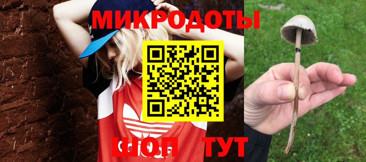 Псилоцибиновые грибы Psilocybe  Вход с VPN  Псилоцибиновые грибы GOLDEN TEACHER  Дмитров 